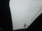2020 Dodge Charger Scat Pack Widebody