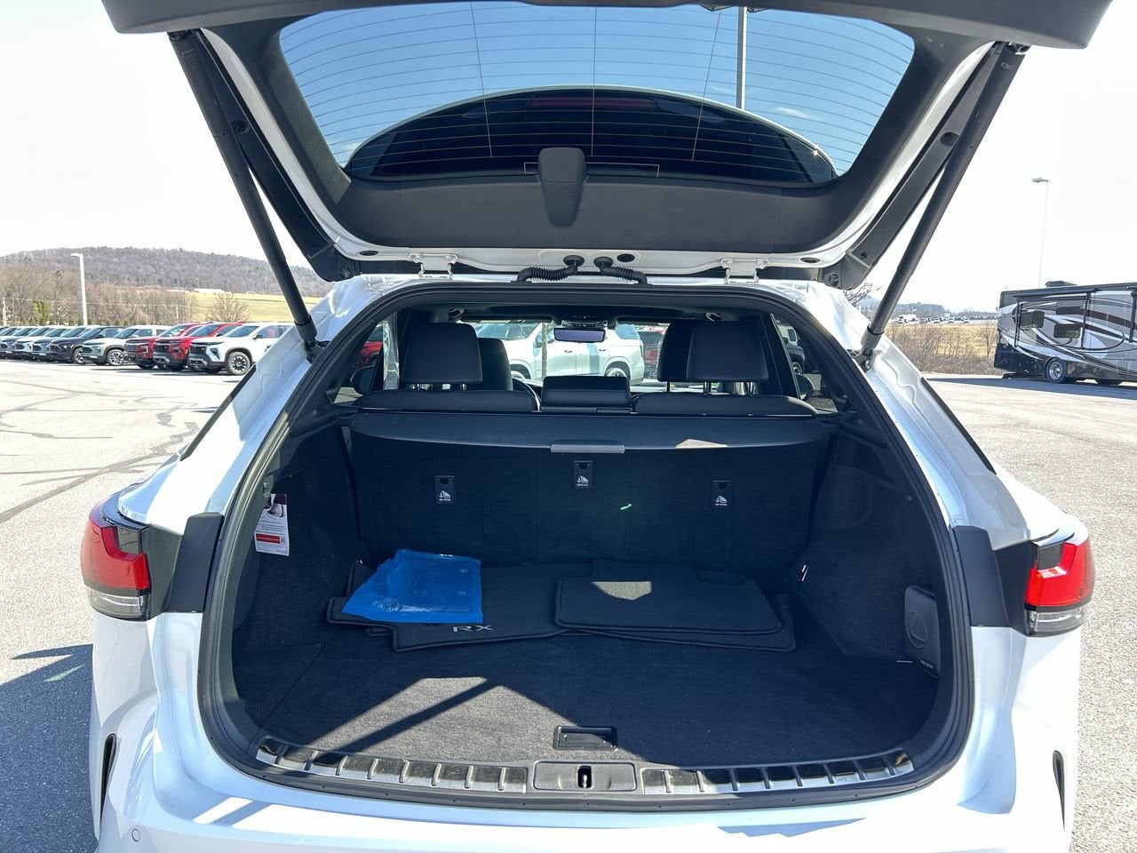 2023 Lexus RX RX 350 Premium Plus