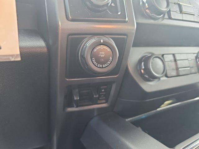 2019 Ford F-150 XLT 4WD SuperCrew 5.5' Box