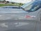 2024 Chevrolet Silverado 1500 Crew Cab Short Box 4-Wheel Drive LT Trail Boss