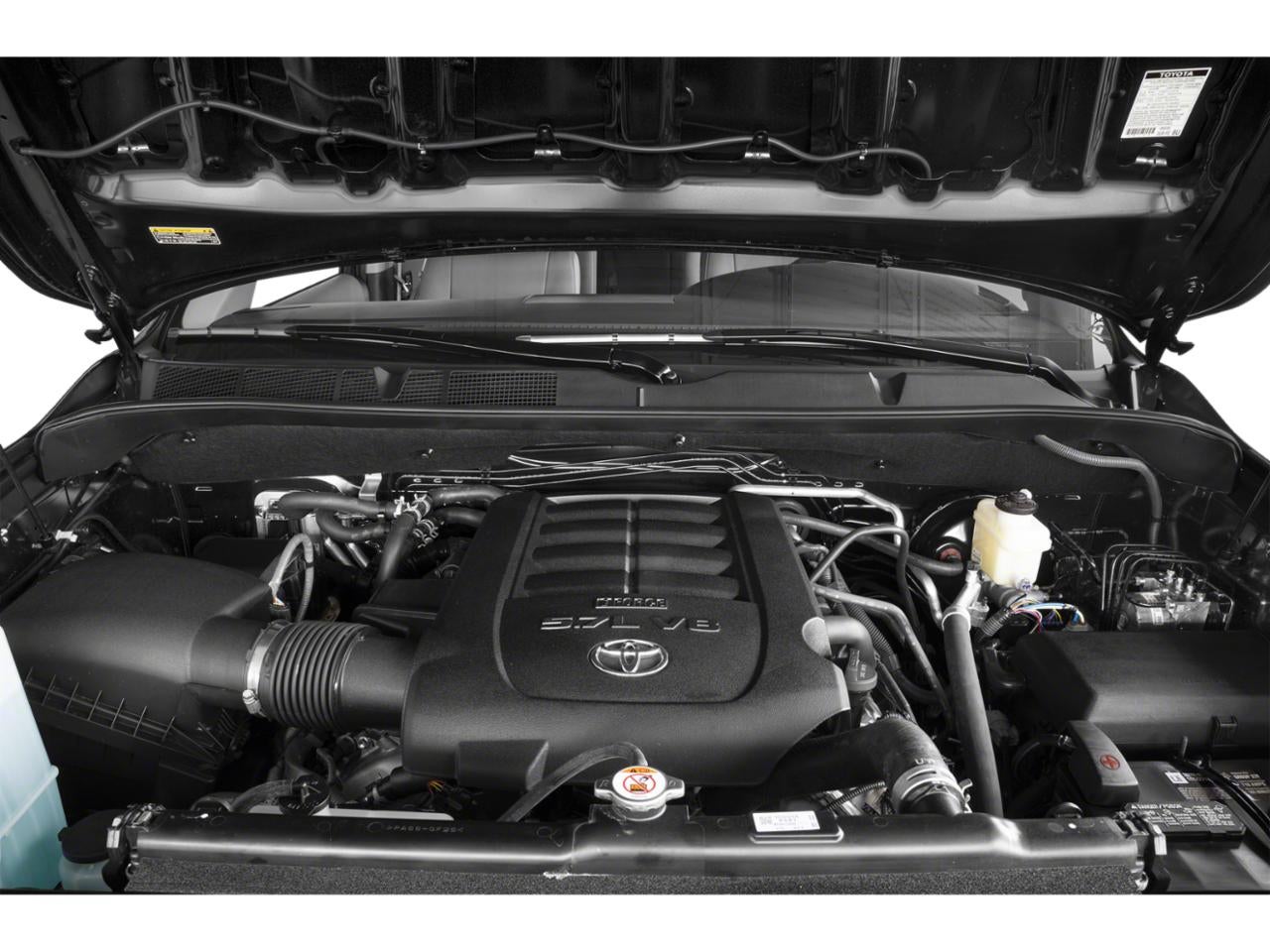 2021 Toyota Sequoia Platinum 4WD (Natl)
