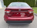 2025 Toyota Corolla LE CVT (Natl)