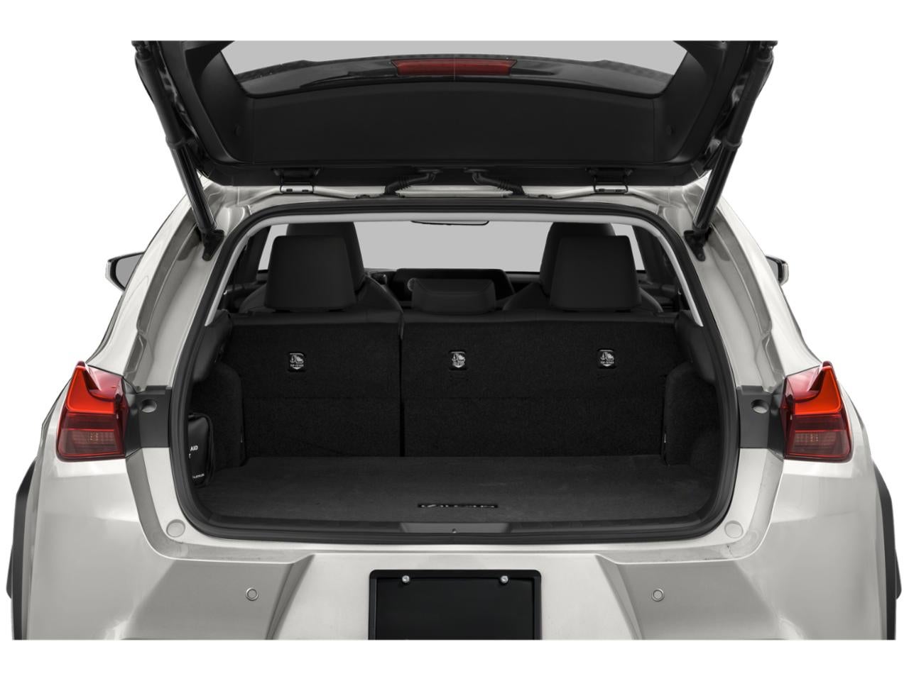 2020 Lexus UX 250h AWD