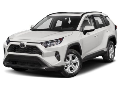 2019 Toyota RAV4 XLE AWD (Natl)