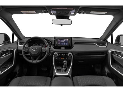 2019 Toyota RAV4 XLE AWD (Natl)