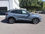 2025 Ford Escape ST-Line Select AWD