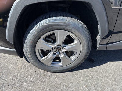2025 Toyota RAV4 XLE AWD (Natl)