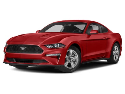 2019 Ford Mustang EcoBoost Fastback