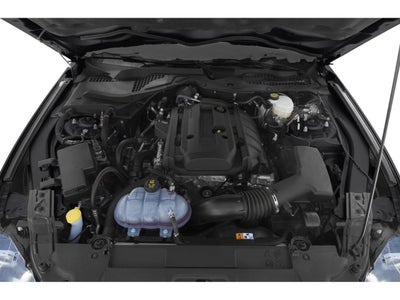 2019 Ford Mustang EcoBoost Fastback