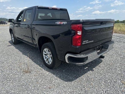 2023 Chevrolet Silverado 1500 Crew Cab Short Box 4-Wheel Drive LT 2FL