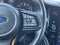 2024 Subaru Outback Wilderness AWD