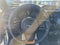2025 Subaru Forester Wilderness CVT