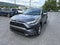 2024 Toyota RAV4 XLE AWD (Natl)