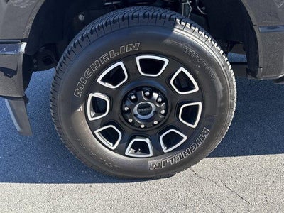 2024 Ford Super Duty F-250 SRW Platinum 4WD Crew Cab 6.75' Box