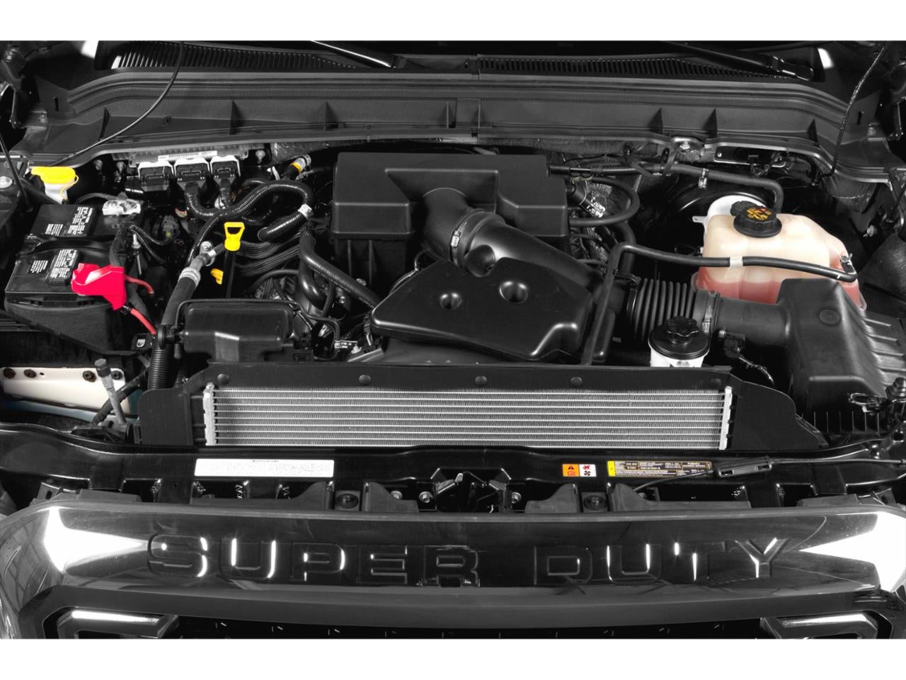 2015 Ford Super Duty F-250 SRW 4WD Regular Cab 8 Ft Box XLT