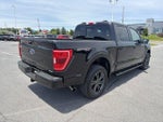 2023 Ford F-150 XLT 4WD SuperCrew 5.5' Box