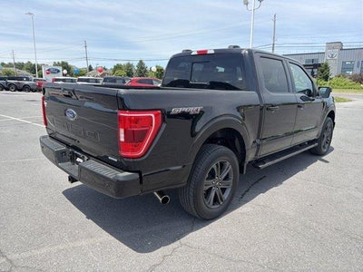2023 Ford F-150 XLT 4WD SuperCrew 5.5' Box