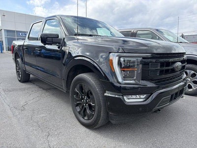2023 Ford F-150 Platinum 4WD SuperCrew 5.5' Box