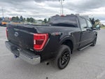 2023 Ford F-150 XLT 4WD SuperCrew 5.5' Box