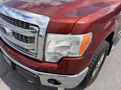 2014 Ford F-150 4WD SuperCrew 5-1/2 Ft Box XLT