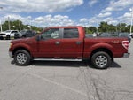 2014 Ford F-150 4WD SuperCrew 5-1/2 Ft Box XLT