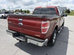 2014 Ford F-150 4WD SuperCrew 5-1/2 Ft Box XLT