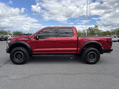2024 Ford F-150 Raptor 4WD SuperCrew 5.5' Box