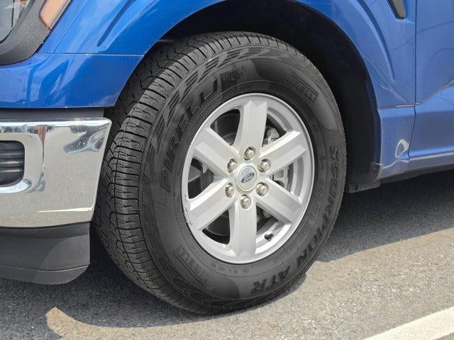 2025 Ford F-150 XL 4WD Reg Cab 8' Box